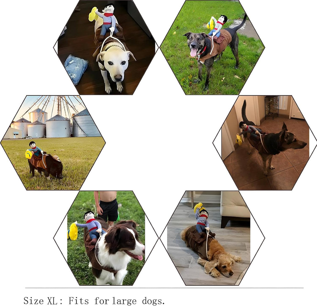NACOCO Cowboy Rider Dog Costume for Dogs Clothes Knight Style
