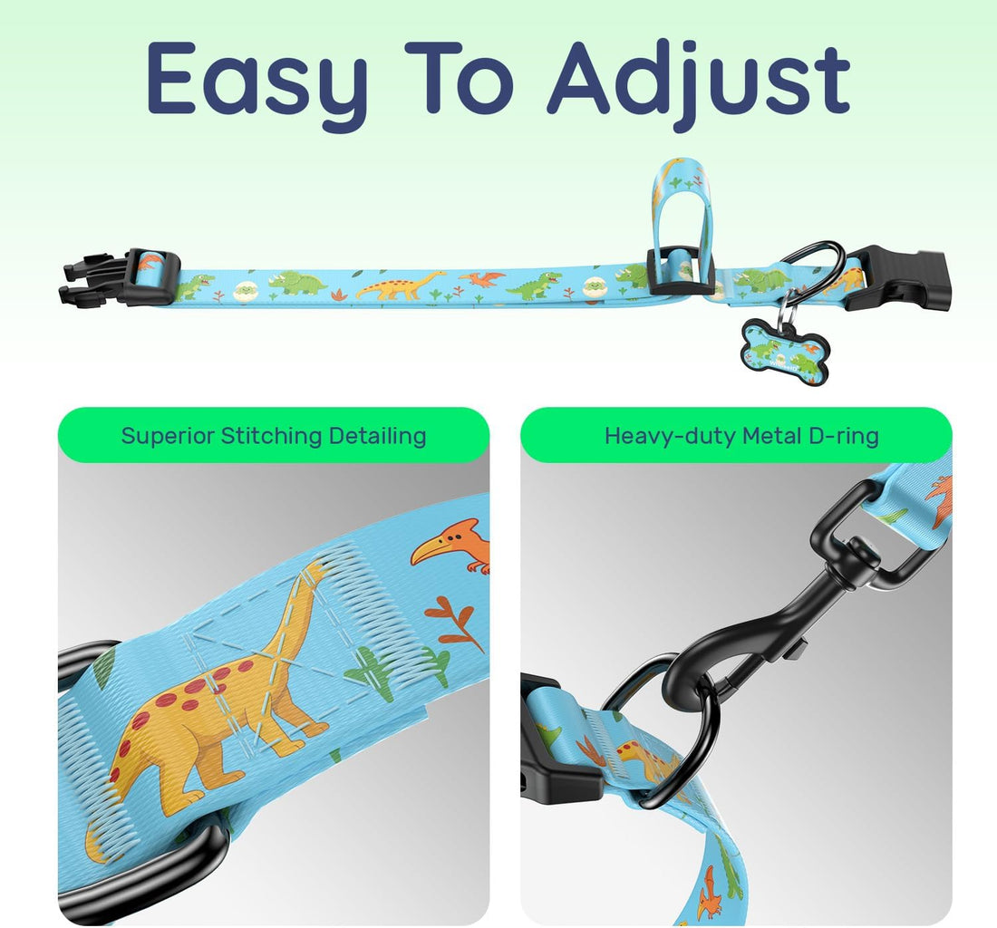 Personalized Dog Collar and Dog Tag Set,Comfortable for Small Medium