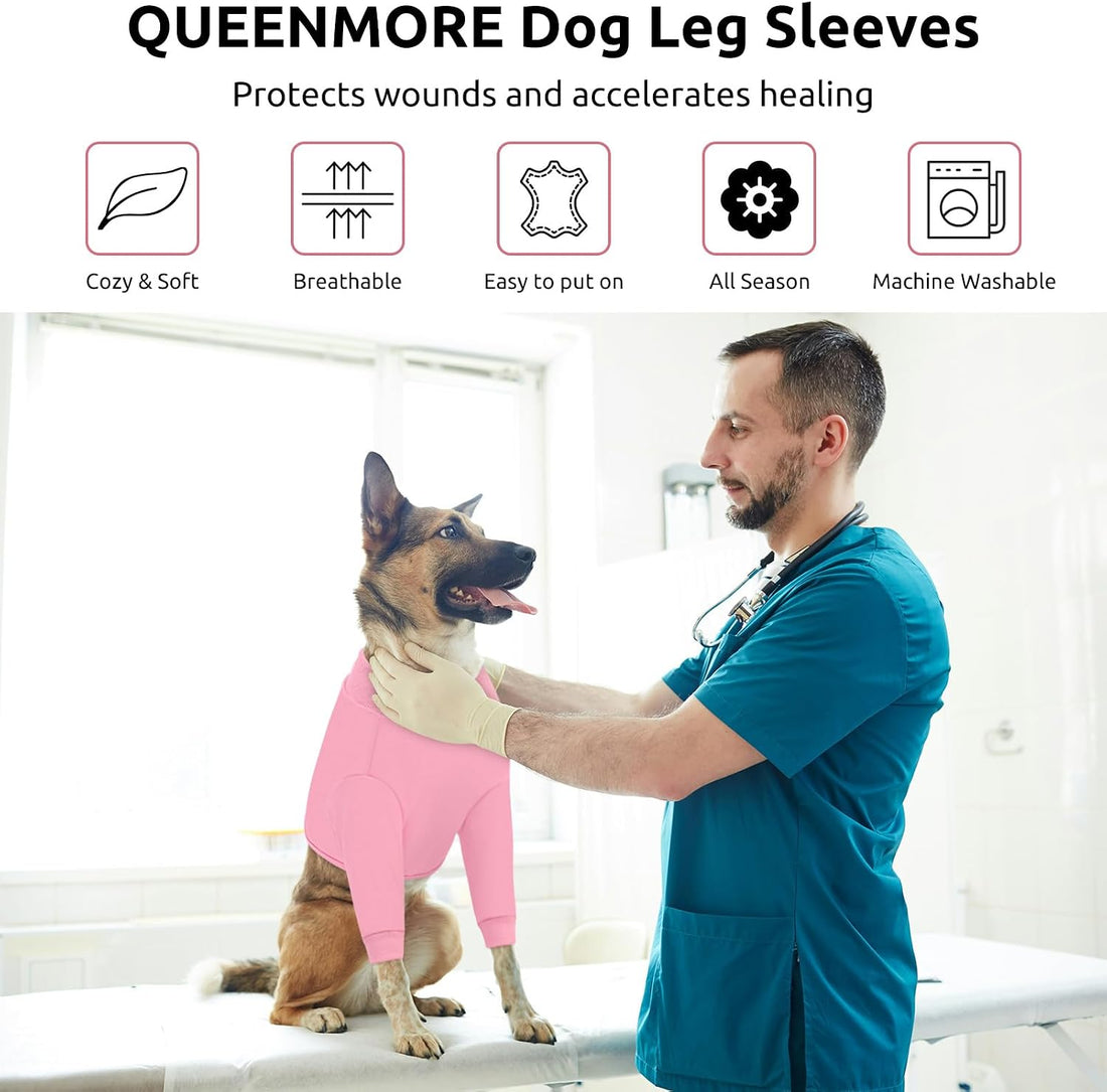 Queenmore Recovery Sleeve for Dogs Front Leg