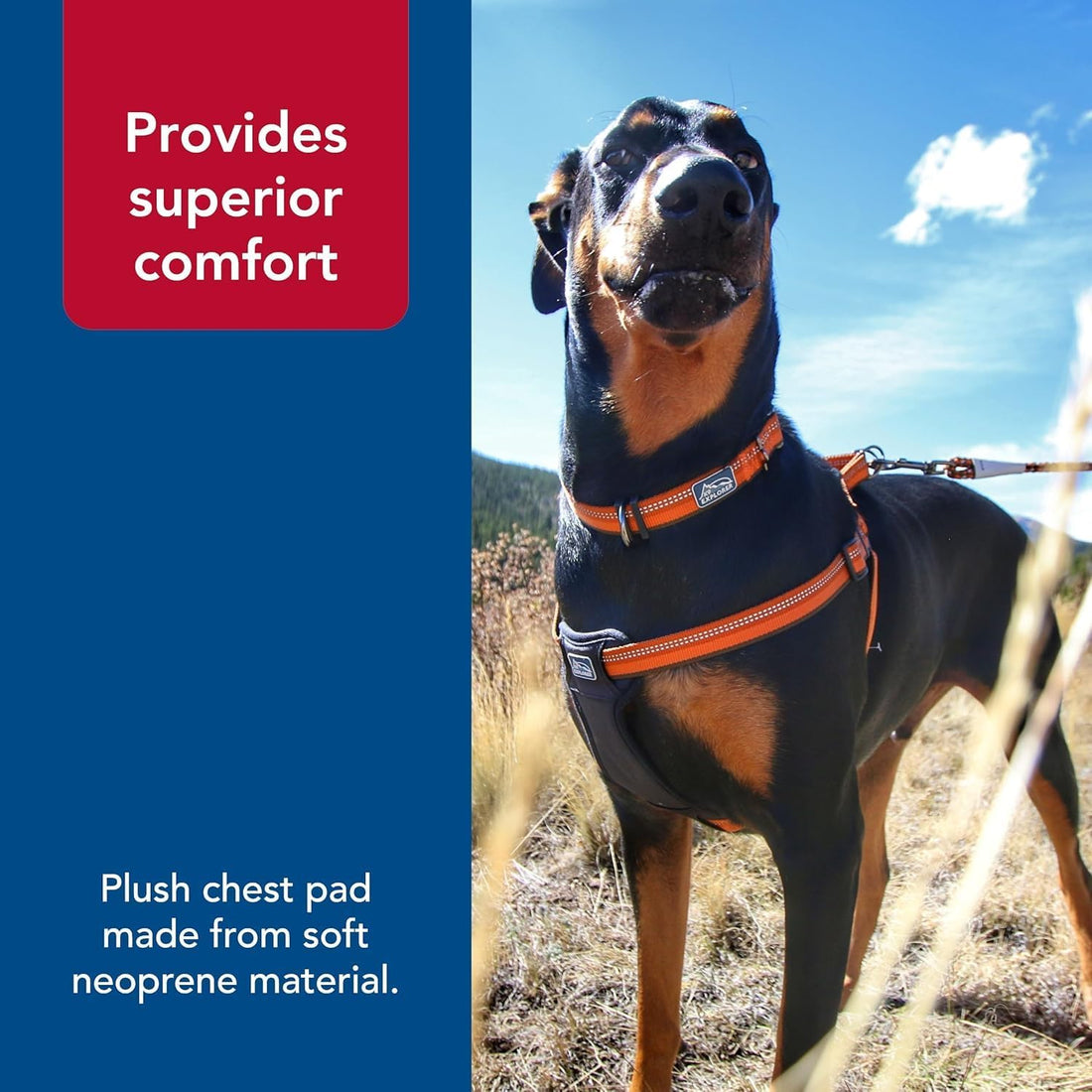 Coastal Pet K9 Explorer Reflective Adjustable Padded, 5/8" x 16" 24"