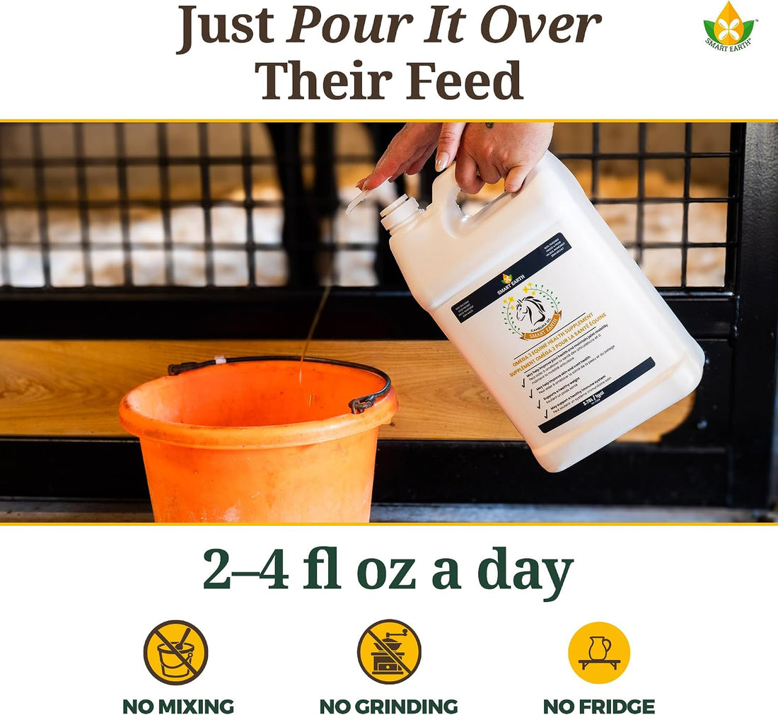 100% Pure Camelina Oil for Horses
