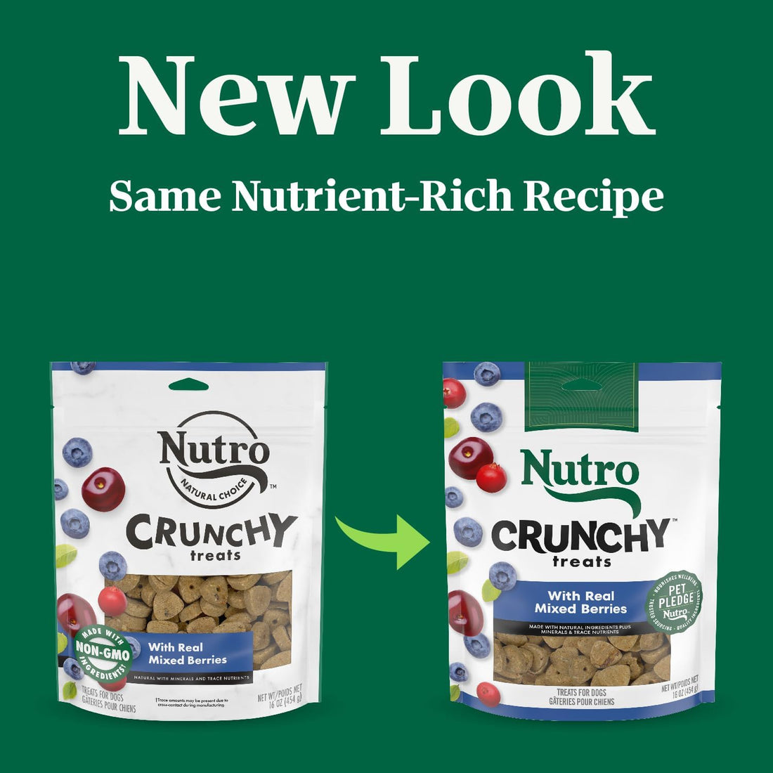 Nutro Crunchy Dog Treats with Real Mixed Berries