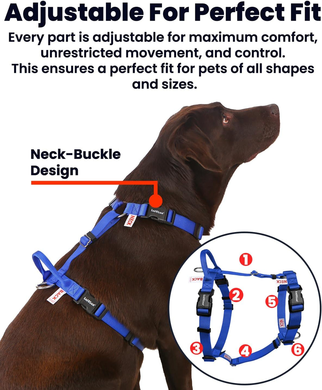 Non Restrictive No Pull Dog Harness, Medium