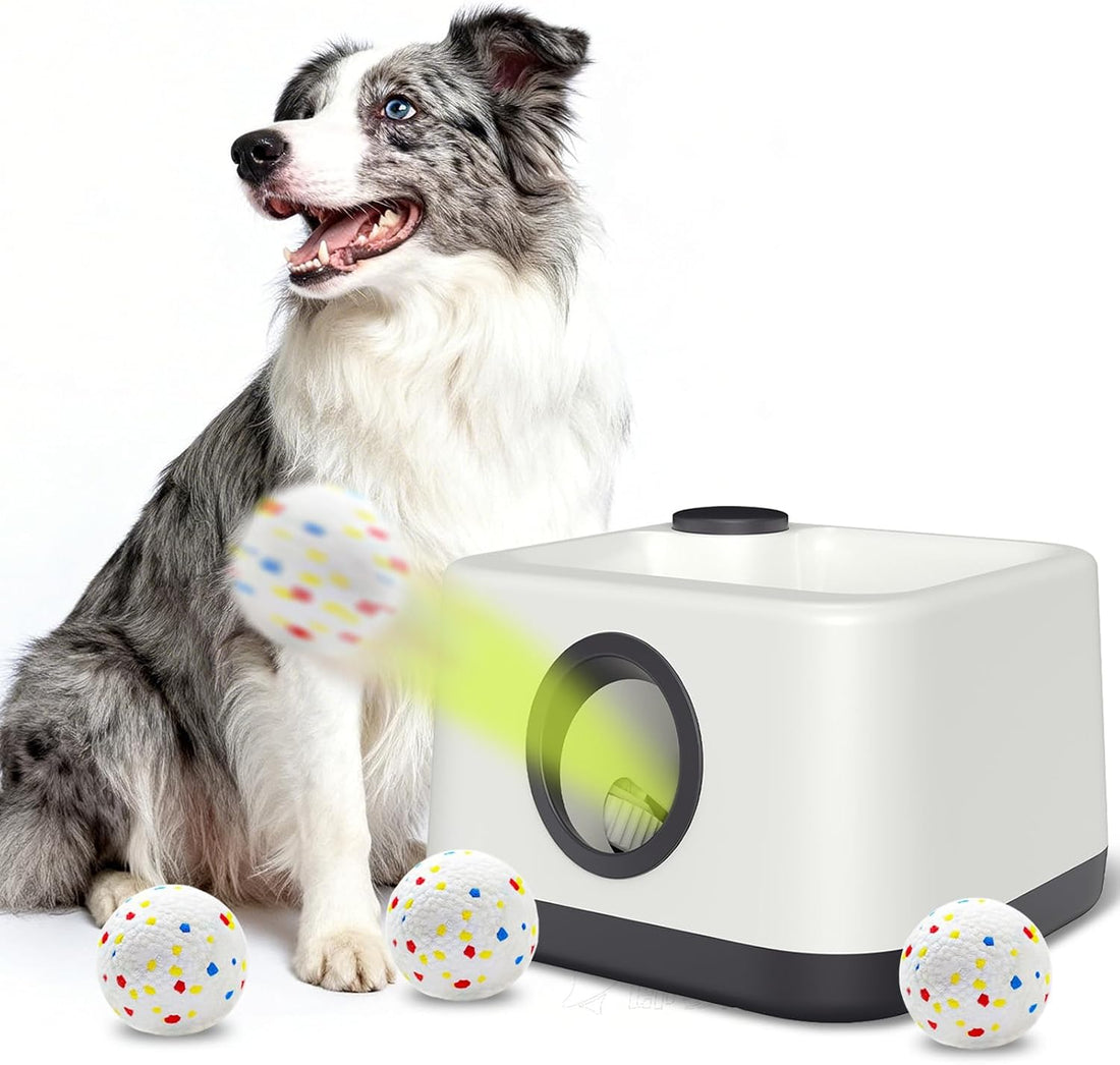 Automatic Dog Ball Launcher, Auto & Manual Dual Mode Dog Ball Thrower
