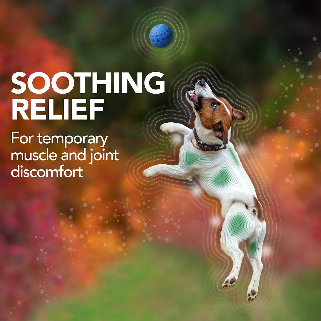 Vet’s Best Dog Pain Relief Supplement
