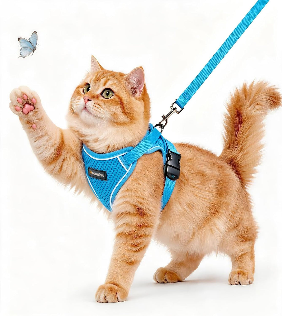 Cat Harness and Leash for Walking
