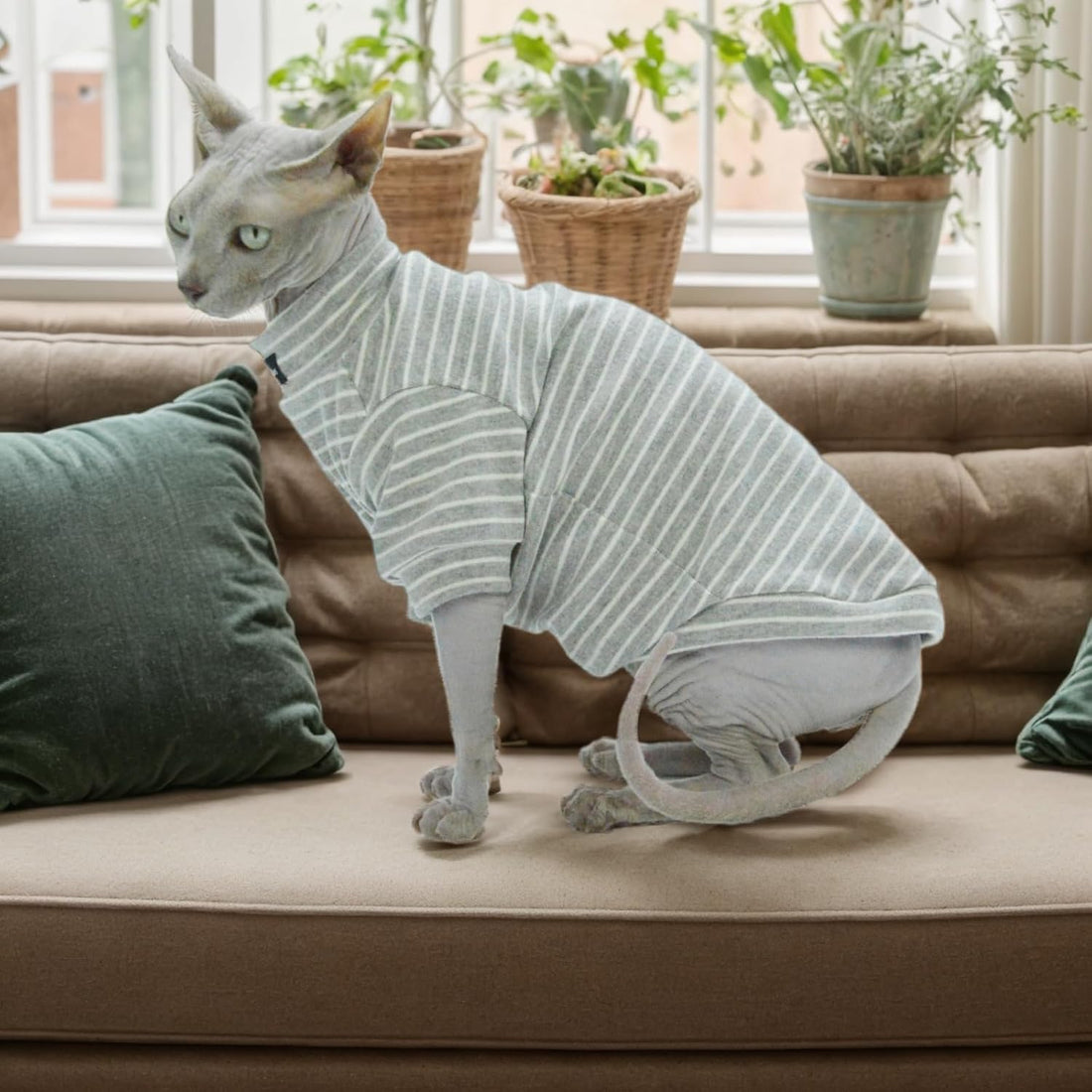 Sphynx Cat Sweater Soft Warm Long Sleeve Fleece for Cats&Small Dogs