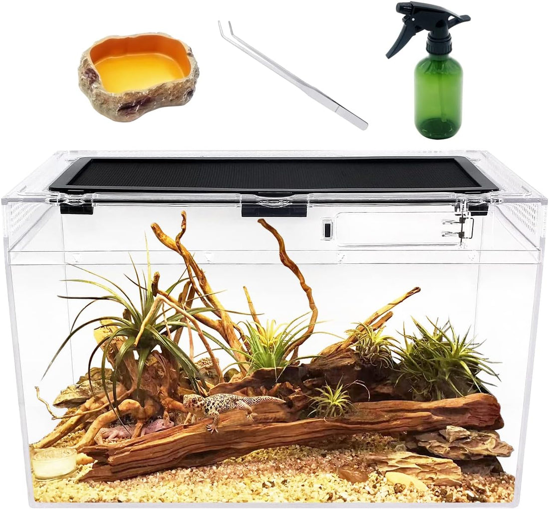 Mini Reptile Terrarium Set,11.8" x 7"x 6" Low Reptile Tank with Full