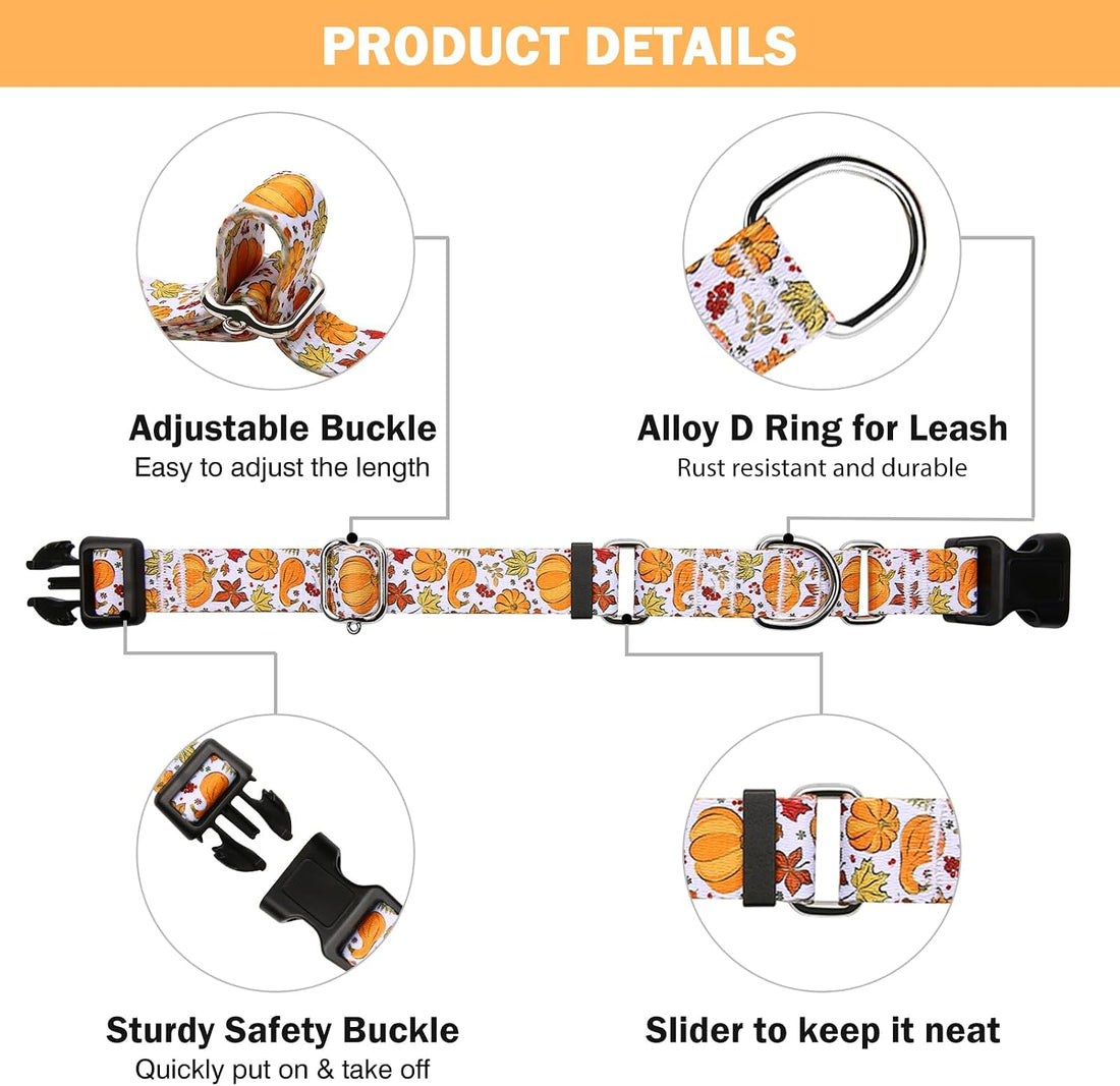 Hikiko Martingale Collar for Dogs with Halloween Pattern,Adjustable,L