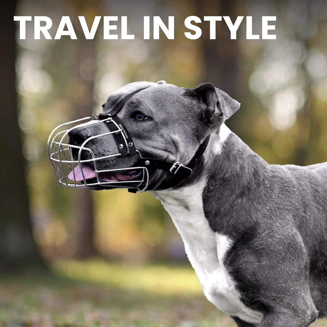 BRONZEDOG Pitbull Wire Basket Muzzle for Amstaff, Large Dogs (Steel)