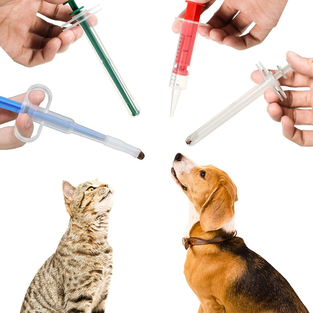 Patelai 4 Pcs Pill Shooter Pet Medicine Feeder