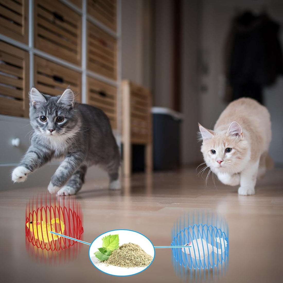 Jecery 5 Pcs Cat Toys Spring