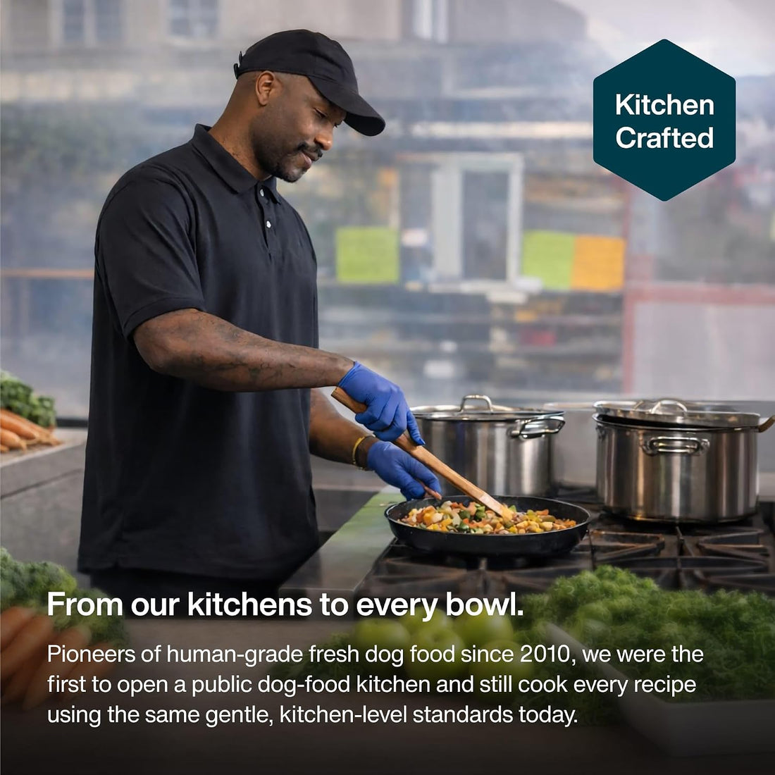 JustFoodForDogs JustFresh Wet Dog Food