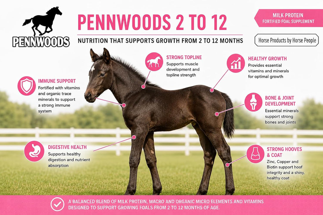 Pennwoods Foal Growth Supplement High Protein 2 to 12 Months, 11lb