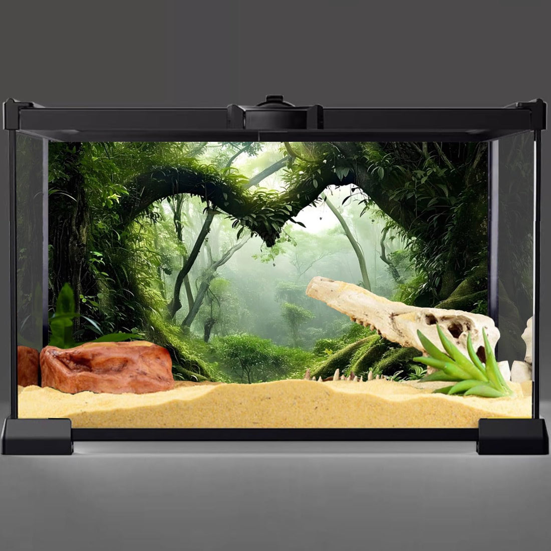 30x18 in Green Tree Reptile Habitat Background Rainforest Aquarium