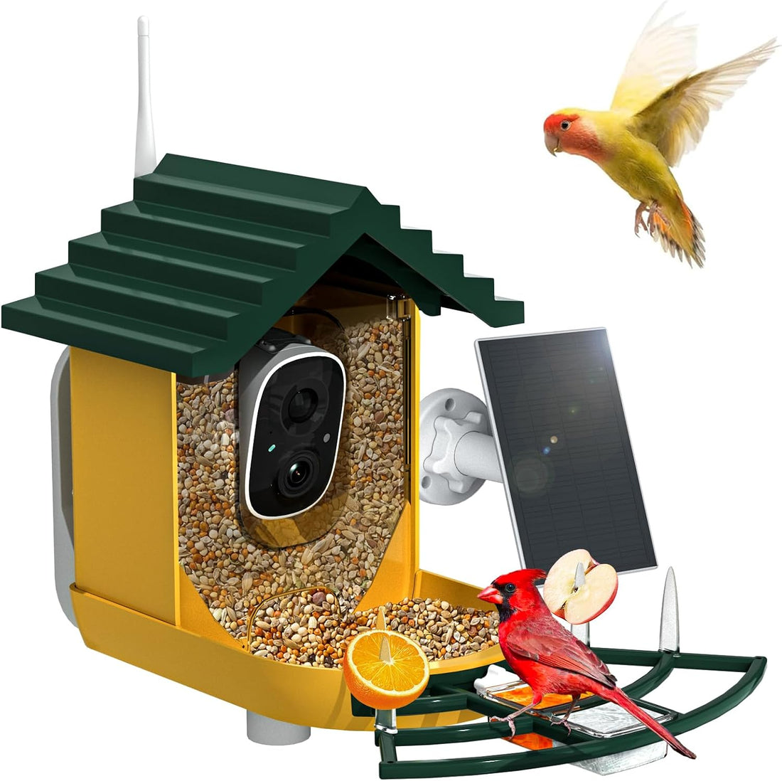 NAVFS Smart Bird Feeder with Camera Solar Powered & AI Bi rd