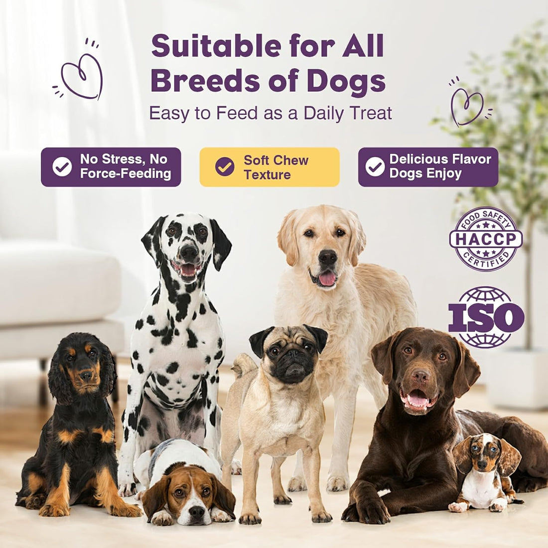 TTLXRL Probiotics for Dogs 200pcs Dog Probiotics for Digestive Health