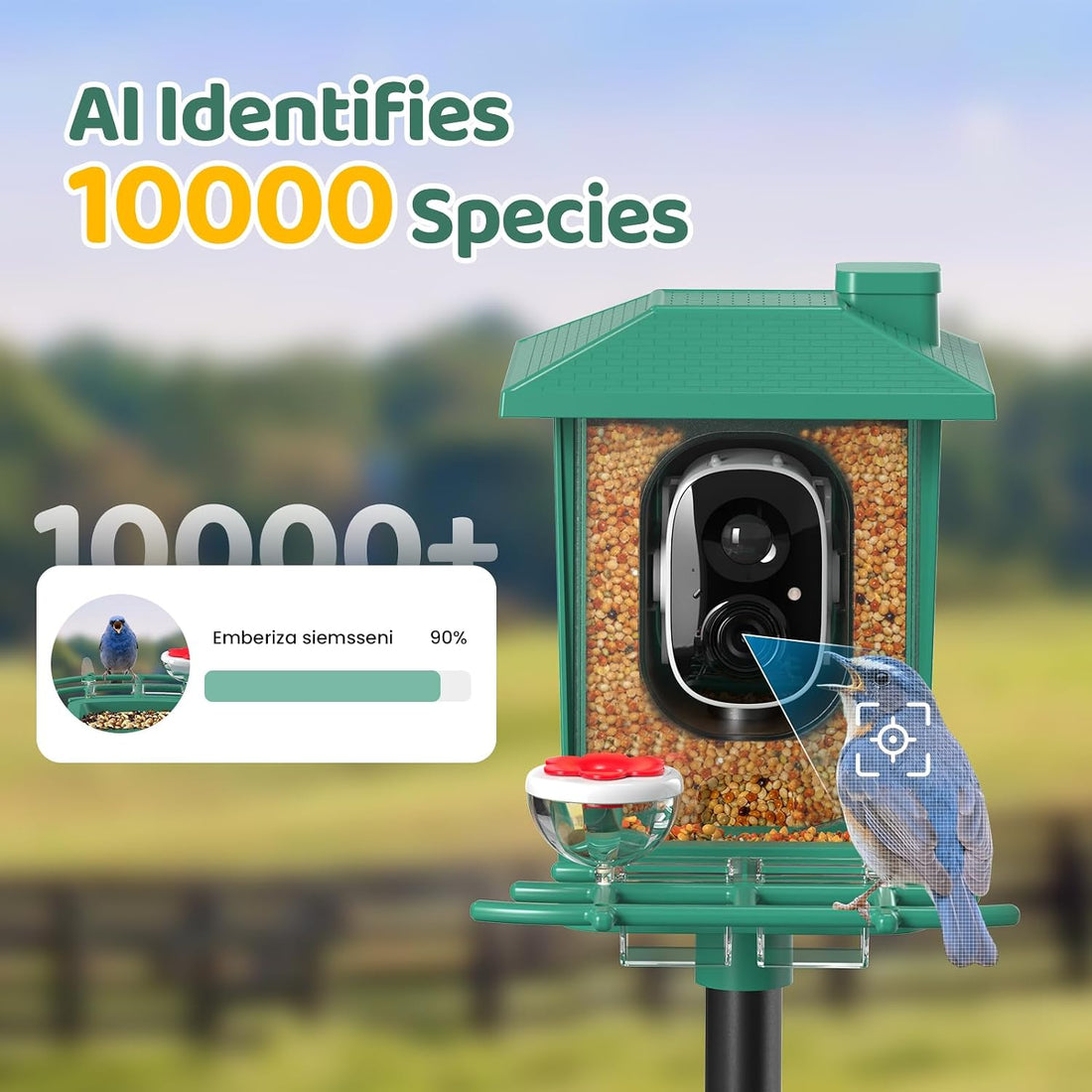 Bird Feeder with Camera Outdoor Solar