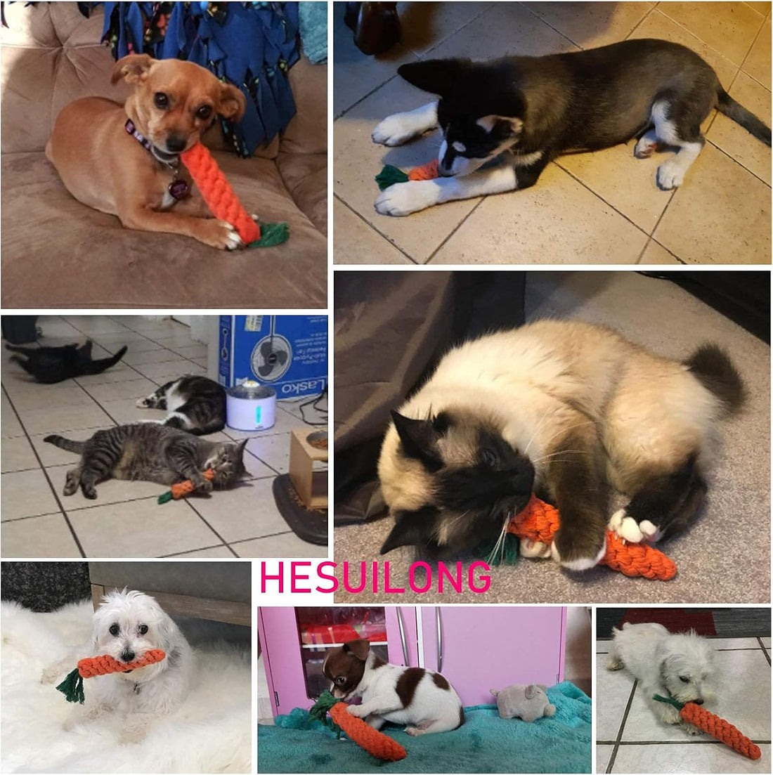 HESUILONG Dog Toys 3 PCS Puppy Teething Chew Toys,Dog Rope Toys,Cat