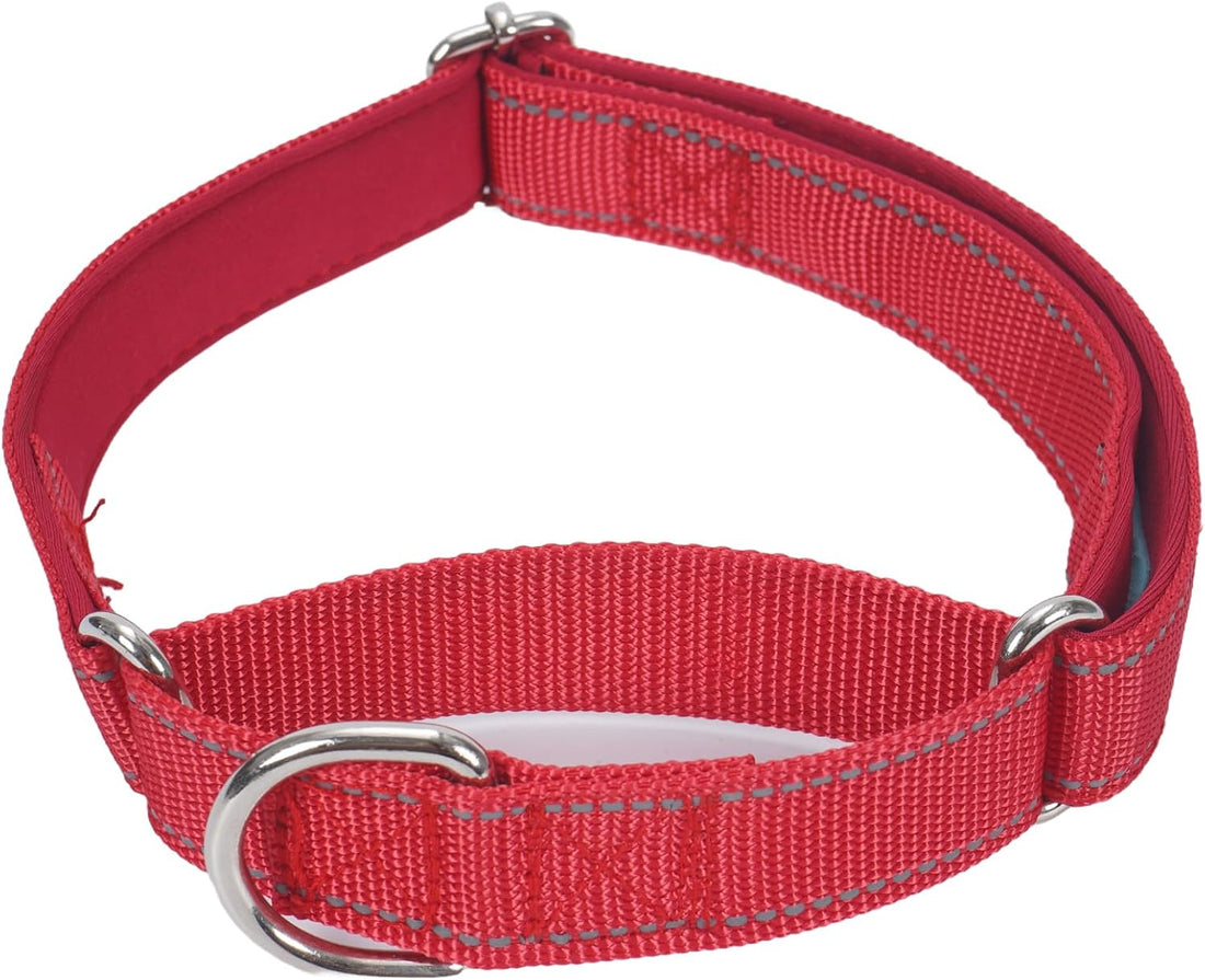 SGODA Martingale Dog Collar, Blue, M