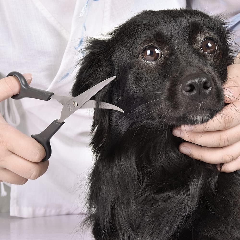 Chibuy Professional Dog Grooming Scissors Set