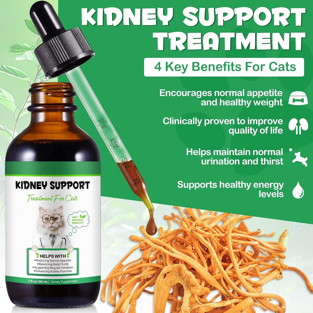 Kidney Support for Cats, Cat Kidney Treatment Support Normal Kidney
