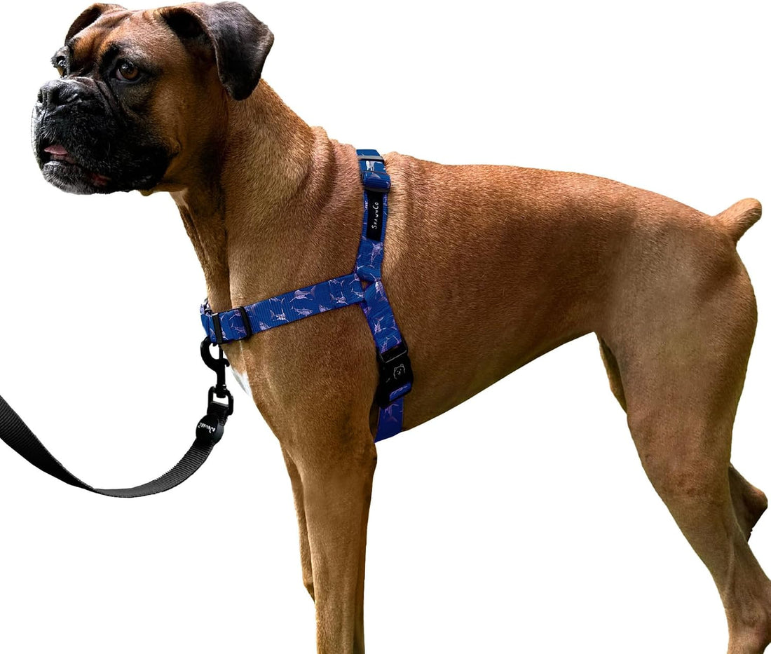 ShawnCo Dream Walk No-Pull Dog Harness