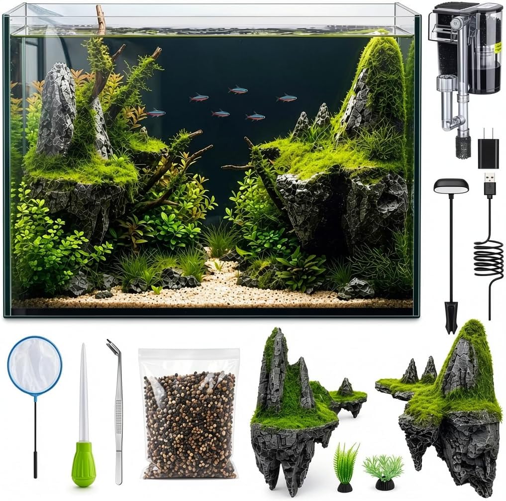 2 Gallon Small Fish Tank with Light and Filter Desktop Aquarium