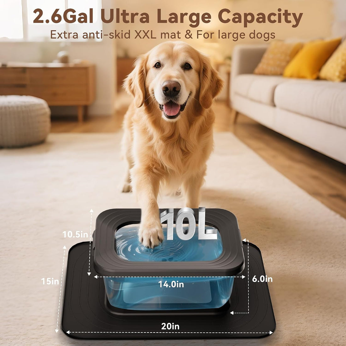 10L No Spill Dog Water Bowl Stainless Steel for Messy Drinkers