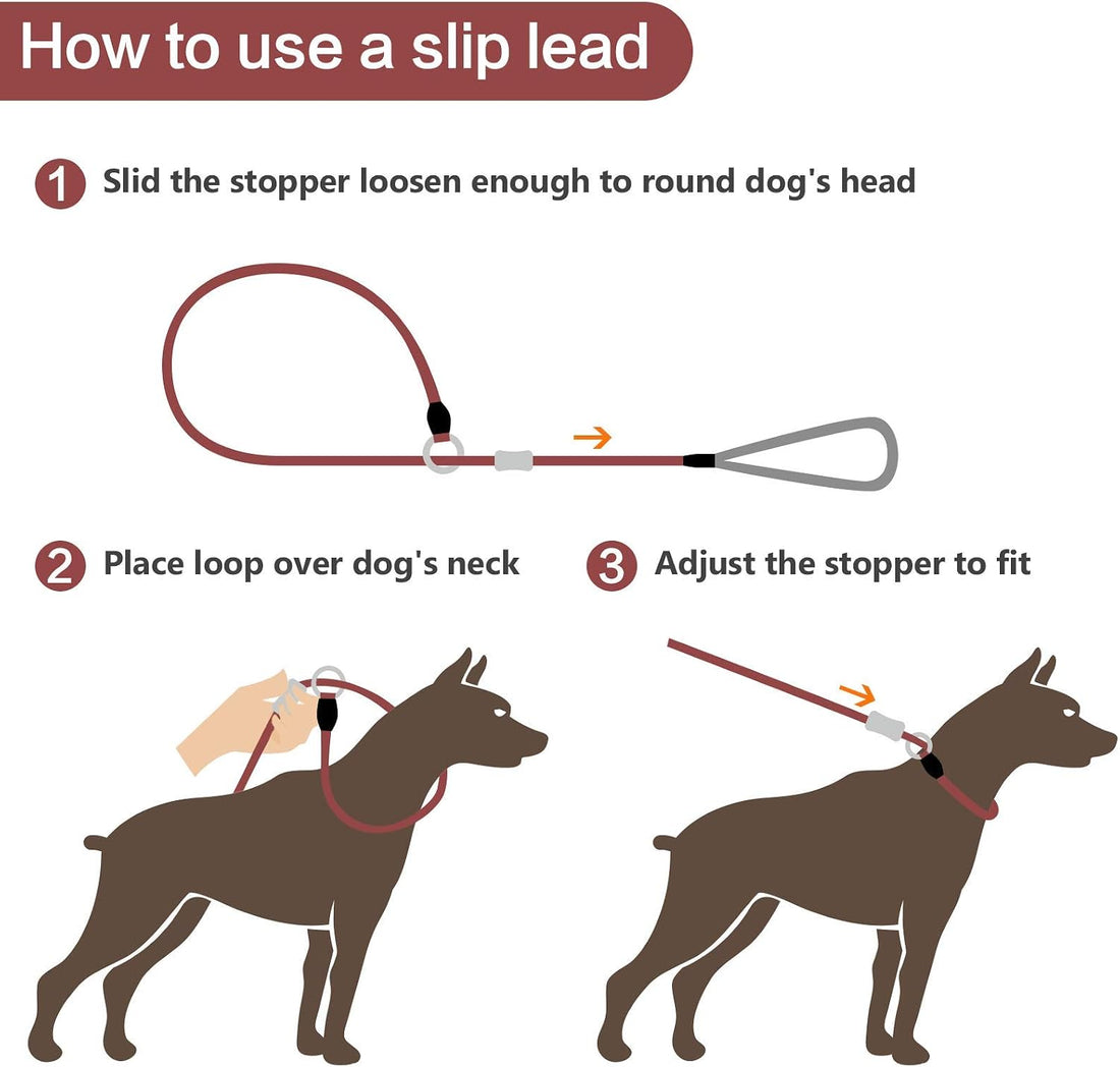 Strong Slip Rope Dog Training Leash