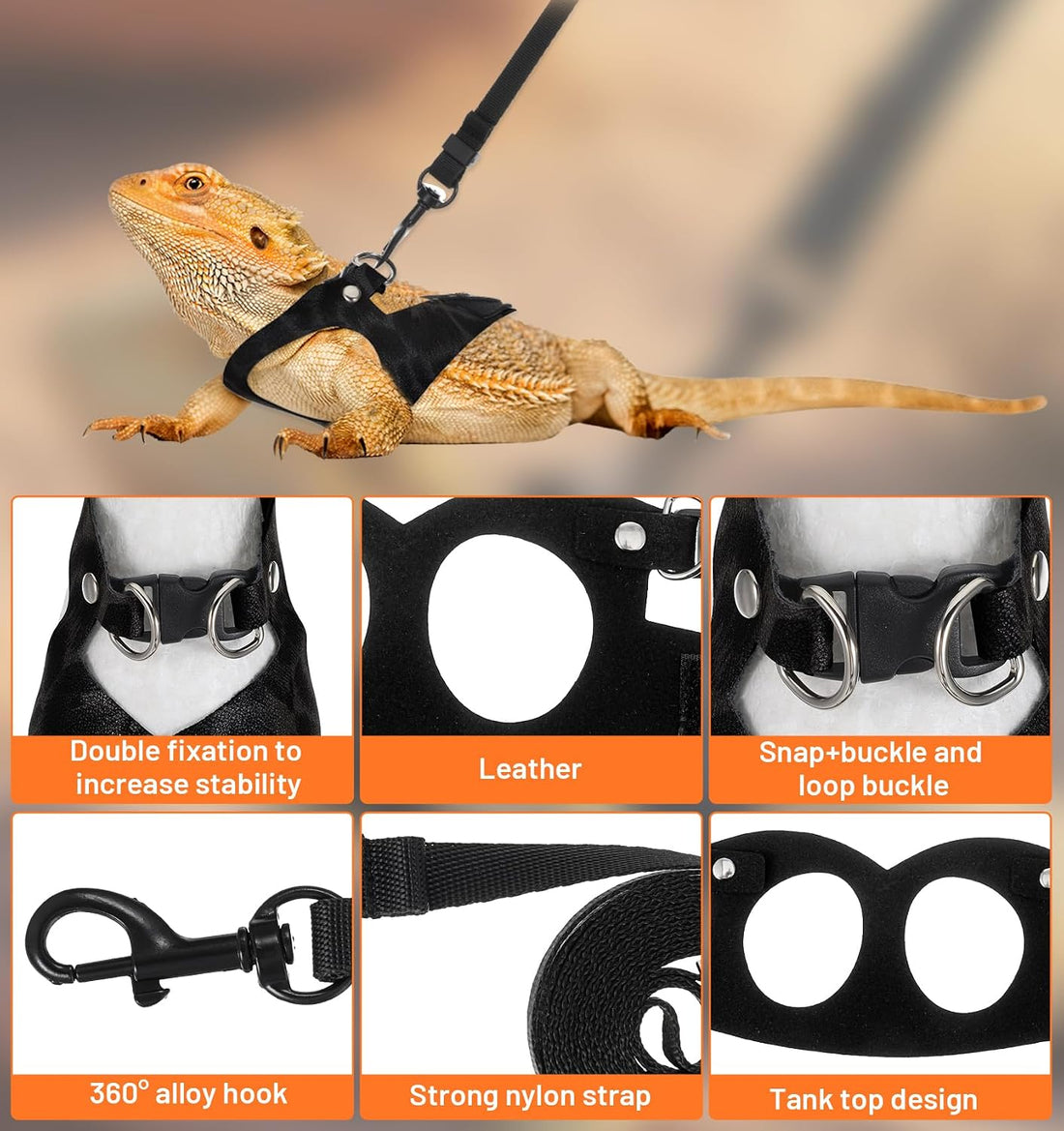 3 Pcs Bearded Dragon Leash Set, Black Bearded Dragon Harness Set