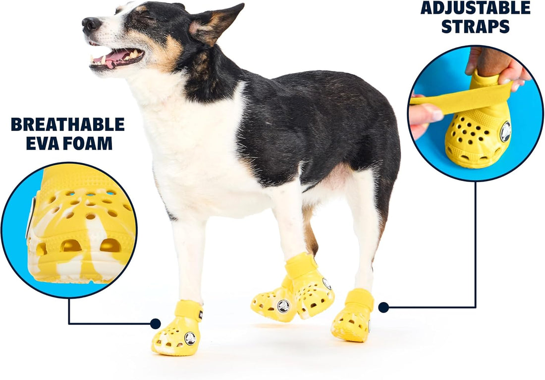 BARKBOX Yellow Crocs Dog Shoes - for Large Breeds (51-80 lbs)