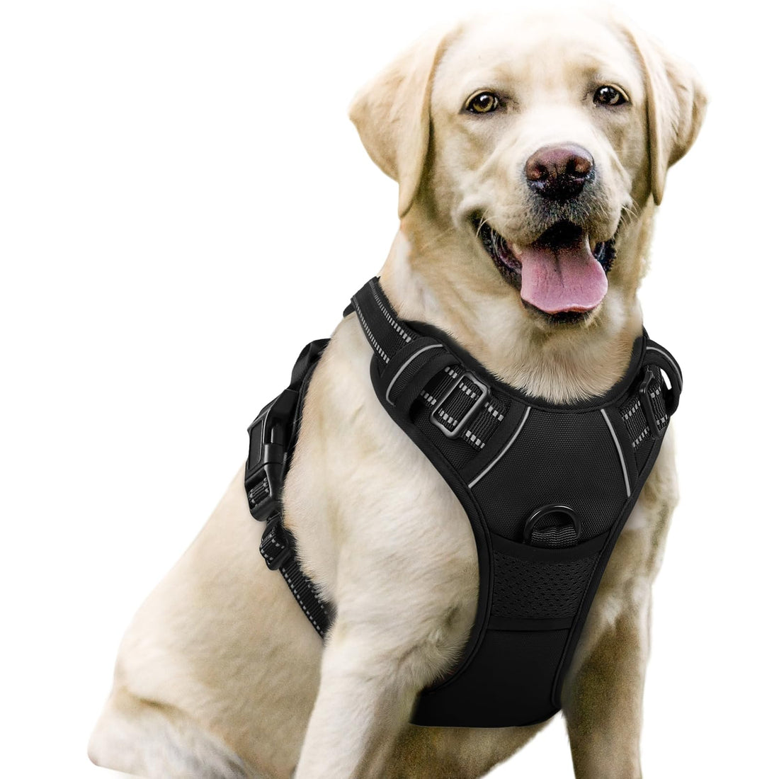 rabbitgoo Dog Harness No Pull with 2 Leash Clips