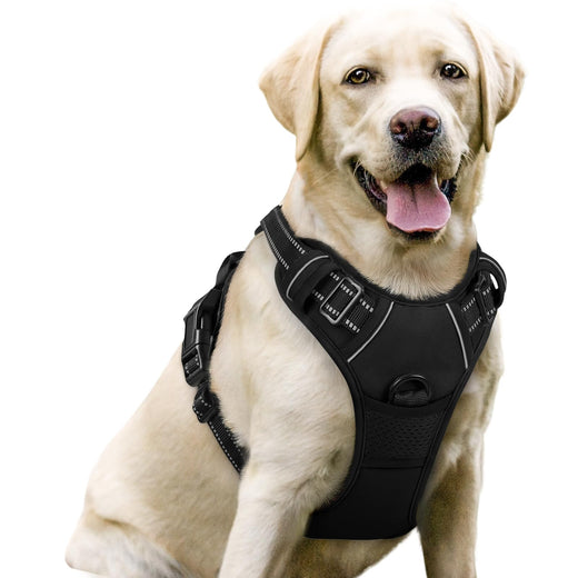 rabbitgoo Dog Harness No Pull with 2 Leash Clips