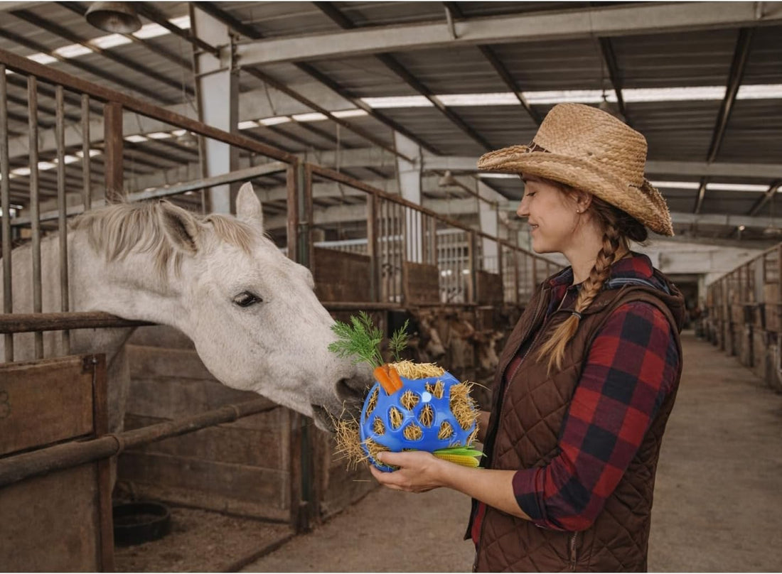 Hay Ball Stall Toy for Horses, Goats & Sheep