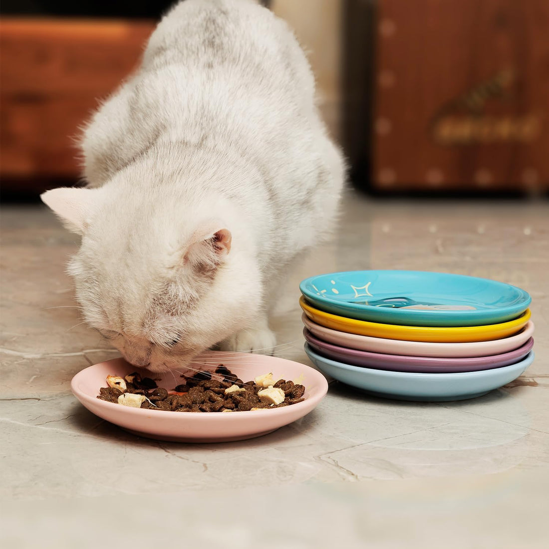 Ceramic Shallow Cat Dish 6 inch, Whisker Fatigue Free Cat Food Bowls