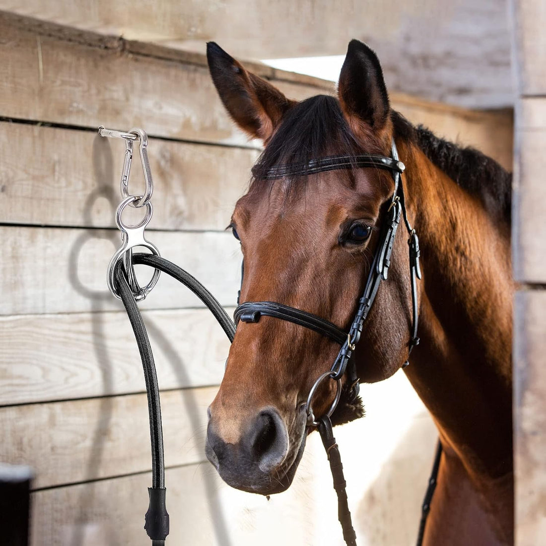 Dunzy 2 Sets Horse Tie Ring, Horse Tack and Supplies Horse Training
