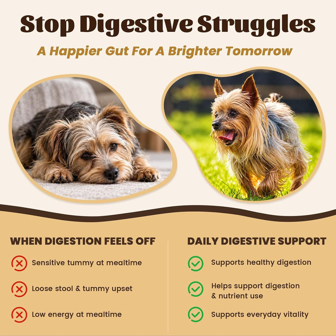 10X Digestive Enzymes for Dogs & Cats, Pancreatic Enzymes Powder