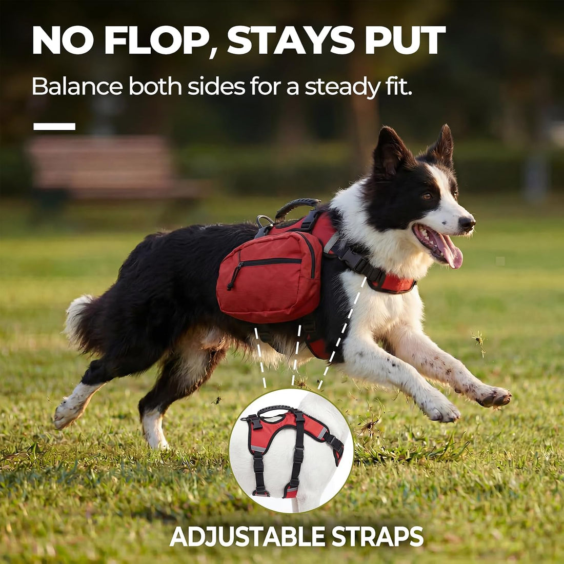 2-in-1 Detachable Dog Backpack Harness for Day Hiking (Medium)