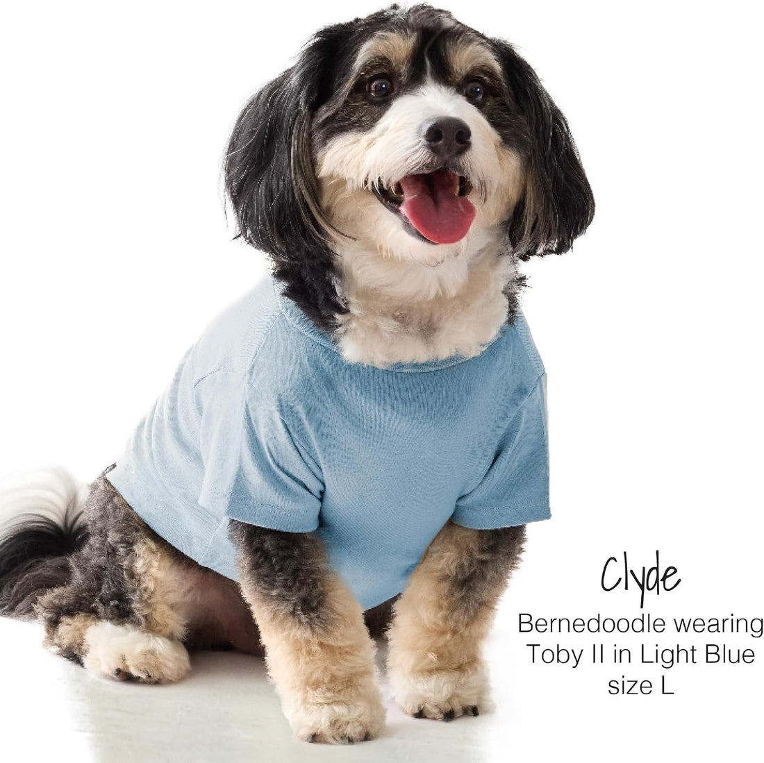 Pet Passion Toby II Dog T-Shirt, 3 Pack, Navy Camo, Small
