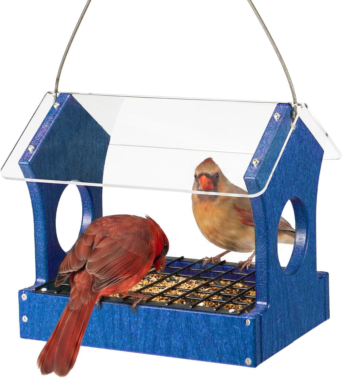 Kingsyard Rain-Resistant Platform Bird Feeder for Outdoor Hanging