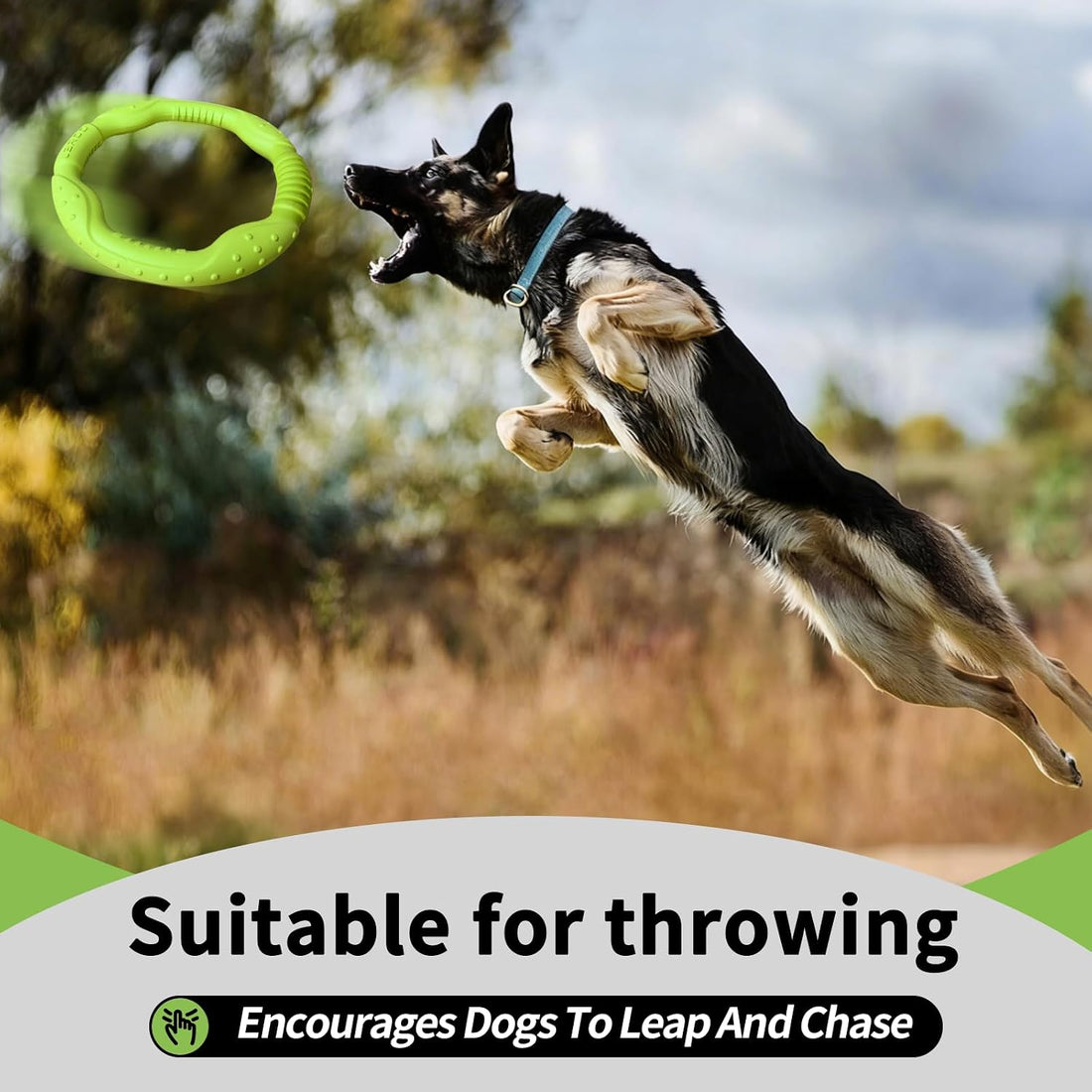 LaRoo Dog Ring Toy, Durable Soft Flying Disc for Throwing Catching
