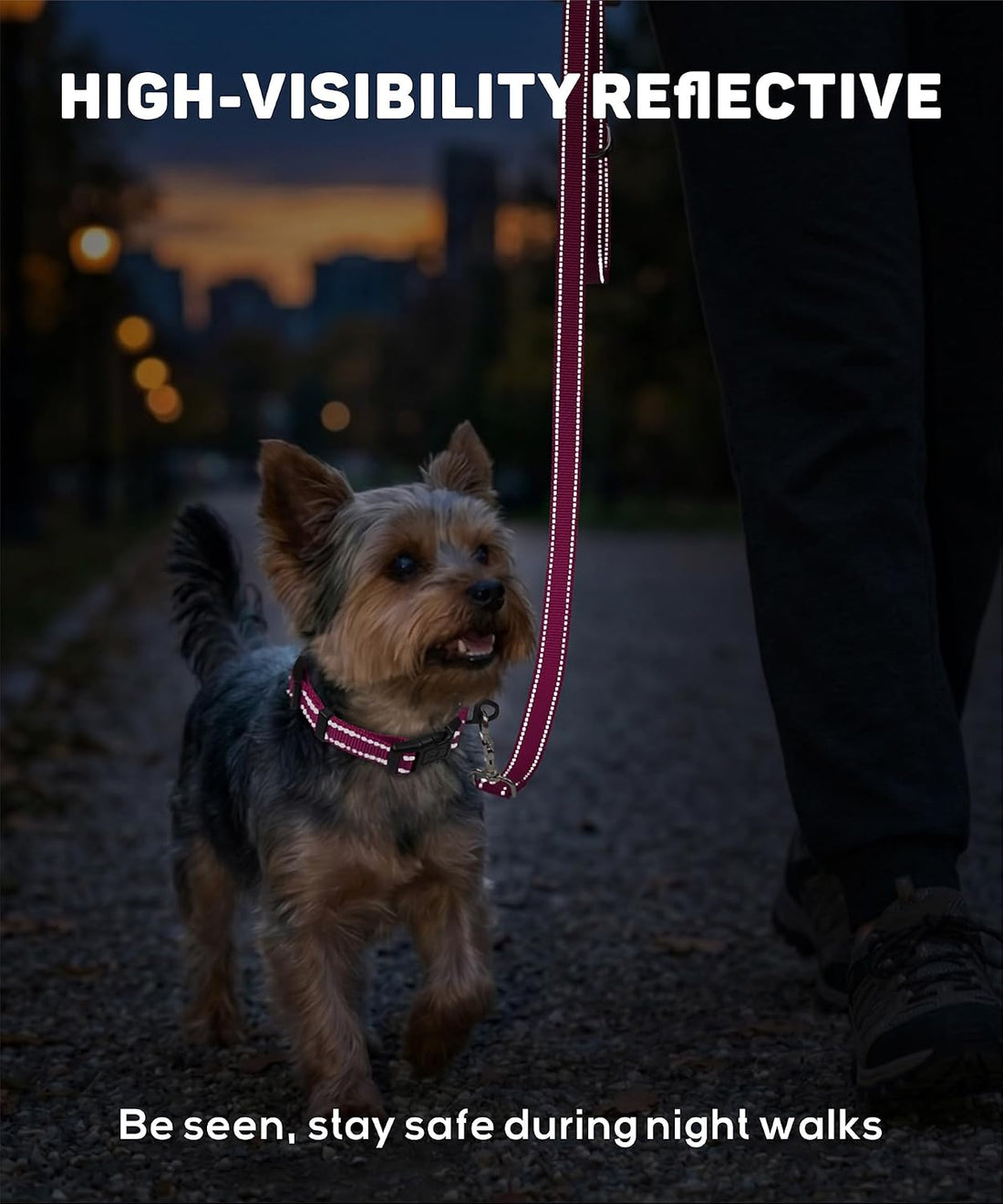 TagME Dog Collar for Small Dogs Reflective High Visibility Soft Nylon