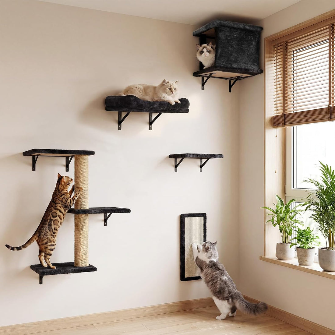6-in-1 Cat Wall Shelves for Large Cats