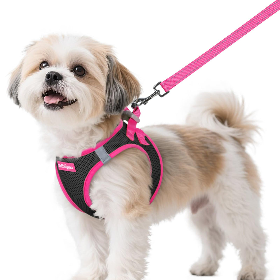 rabbitgoo Dog Harness Small Sized and Leash Set