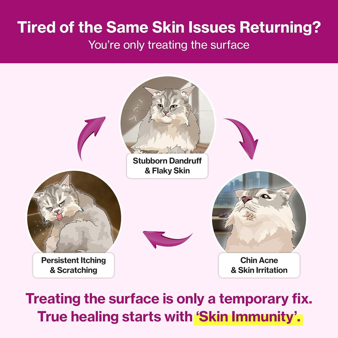 Doctor By Cat Silk Derma Skin and Coat Supplement for Cats Itch Skin