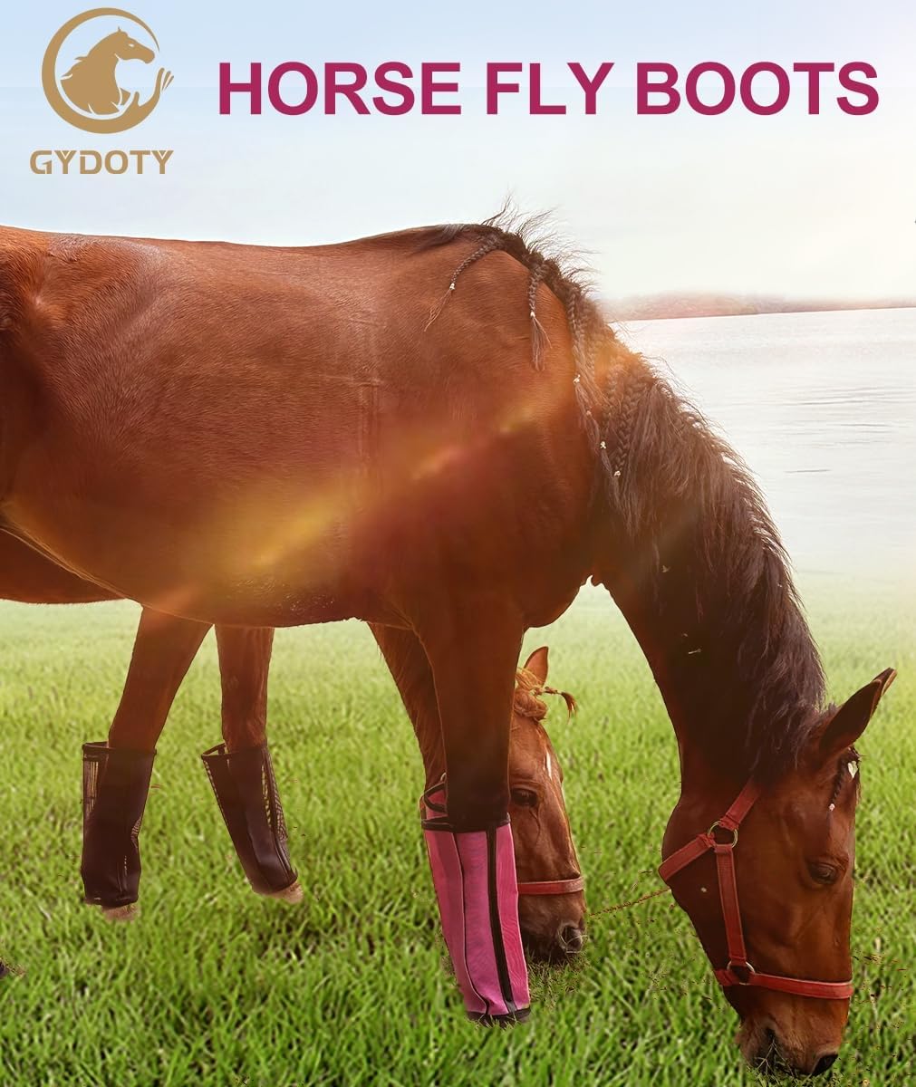 Pony/Donkey Fly Boots Set of 4