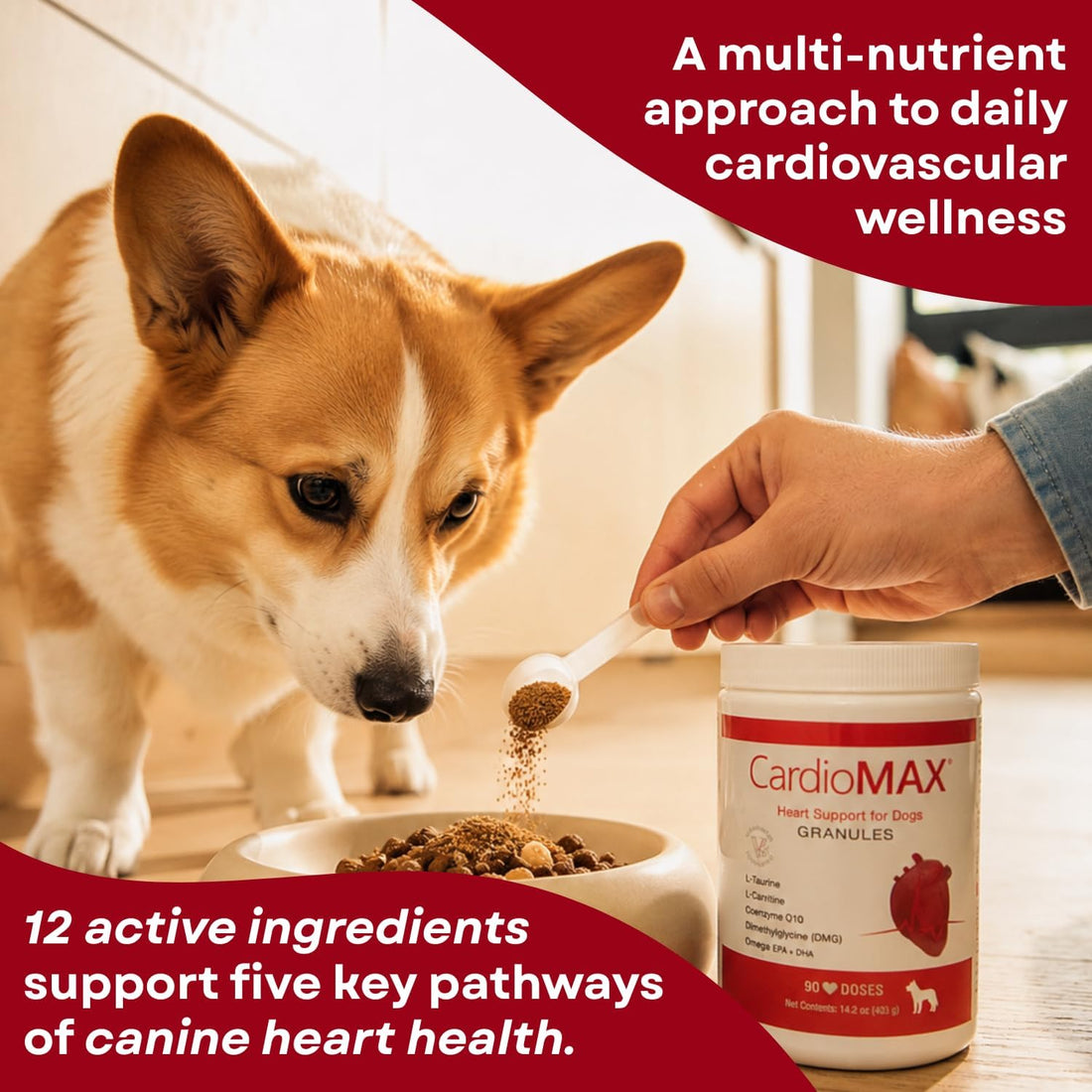 Heart Support Granules for Dogs – Vet-Formulated