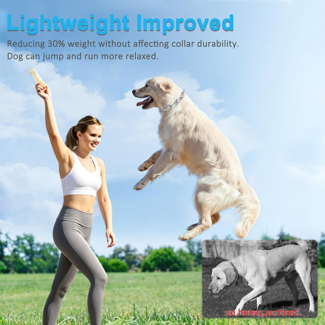Prong Pinch Collar for Dogs,Dog Training Collar for Small Medium