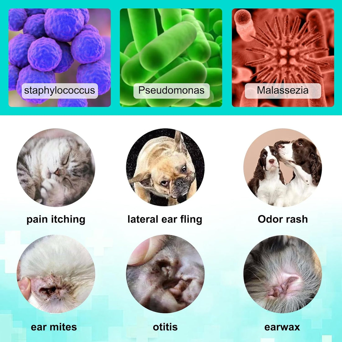 Ear Mite for Dogs & Cats, Pet Ear Infection Treatment Solution